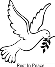 dove-symbol-of-peace-on-earth