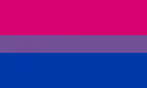 Did you know that bisexuals have a flag? This is so much nicer than the gay one.